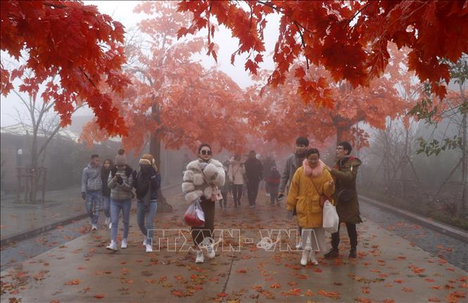 Trong ảnh: Đông đảo du khách đến Sa Pa tham dự Lễ hội mùa Đông 2020. Ảnh: Quốc Khánh - TTXVN