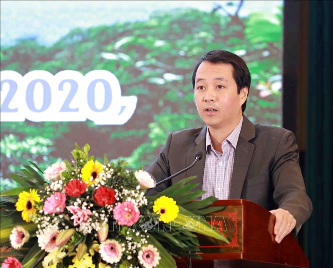 Trong ảnh: Phó Tổng Cục trưởng Tổng Cục Lâm nghiệp (Bộ NN&PTNT) Bùi Chính Nghĩa báo cáo công tác thực hiện nhiệm vụ của ngành Lâm nghiệp tại Hội nghị. Ảnh: Vũ Sinh - TTXVN