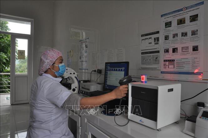 Bác sĩ của Bệnh viên Lao và Bệnh phổi tỉnh Yên Bái thực hiện quy trình xét nghiệm Gene Xpert MTB/RIF. Ảnh: Việt Dũng - TTXVN
