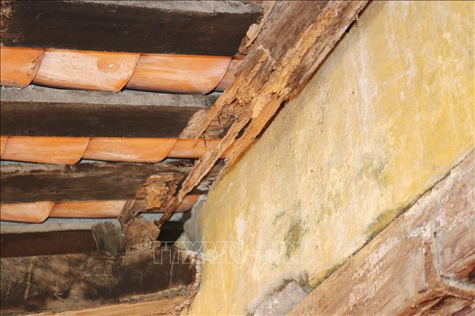 Trong ảnh: Phía bên trong Di tích cấp quốc gia Đình Thuận Hòa (xã Phước Thuận, huyện Ninh Phước) có nhiều hạng mục bị xuống cấp nghiêm trọng. Ảnh: Nguyễn Thành – TTXVN
