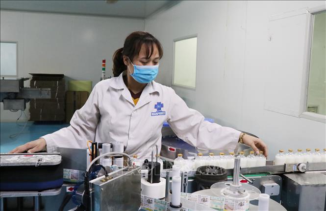 Trong ảnh: Dây chuyền sản xuất thuốc thú y tại Công ty Cổ phần Tập đoàn Đức Hạnh Marphavet. Ảnh: Hoàng Nguyên - TTXVN