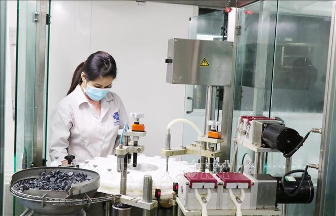 Trong ảnh: Dây chuyền sản xuất thuốc thú y tại Công ty Cổ phần Tập đoàn Đức Hạnh Marphavet. Ảnh: Hoàng Nguyên - TTXVN