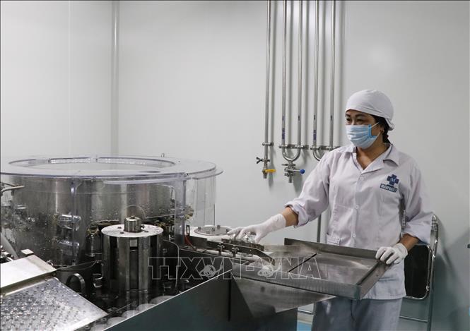 Trong ảnh: Công nhân Công ty Cổ phần Tập đoàn Đức Hạnh Marphavet vận hành dây chuyền sản xuất thuốc thú y. Ảnh: Hoàng Nguyên - TTXVN