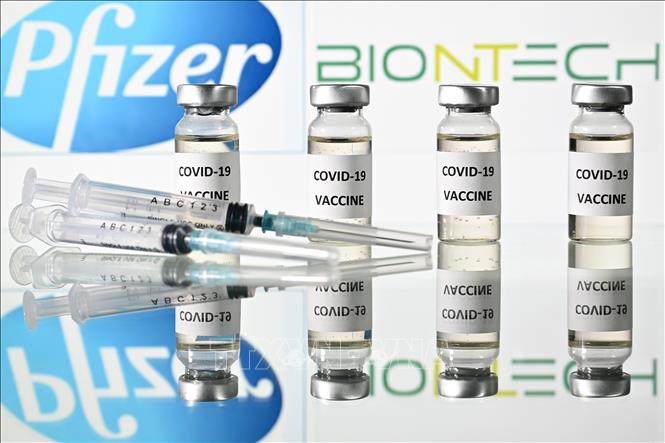 Trong ảnh: Hình ảnh mô phỏng vaccine ngừa COVID-19 do hãng dược phẩm Pfizer (Mỹ) và BioNTech (Đức) phối hợp phát triển. Ảnh: AFP/TTXVN
