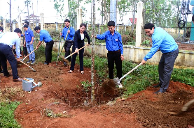 Trong ảnh: Đoàn viên, thanh niên trồng cây xanh tại Trường Tiểu học Nhơn Mỹ, xã Nhơn Mỹ, thị xã An Nhơn. Ảnh: Nguyên Linh - TTXVN