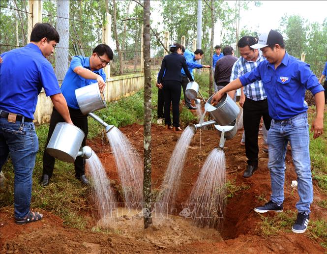 Tuổi trẻ Bình Định phát động thi đua chào mừng 90 năm Ngày ...