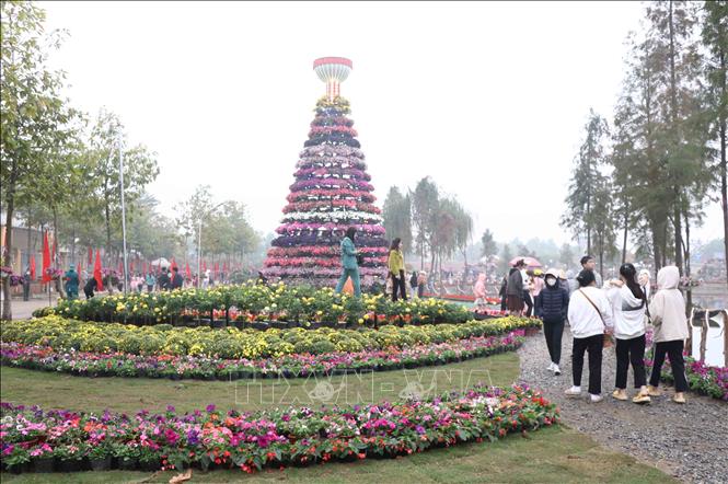 Trong ảnh: Lễ hội nhằm quảng bá tiềm năng, thế mạnh của vùng trồng hoa lớn nhất miền Bắc. Ảnh: Đinh Tuấn - TTXVN
