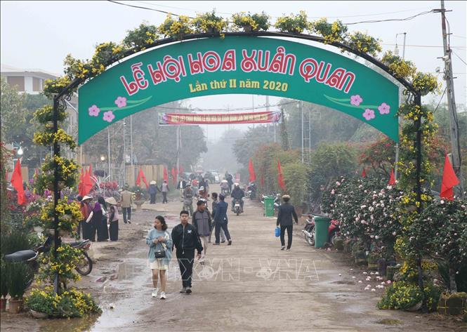 Trong ảnh: Lễ hội hoa cây cảnh huyện Văn Giang thu hút đông du khách đến tham quan. Ảnh: Đinh Tuấn - TTXVN