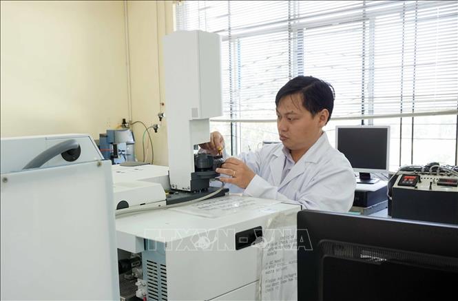 Trong ảnh: Tiến sĩ Đoàn Lê Hoàng Tân làm việc trong phòng thí nghiệm. Ảnh: Thu Hoài - TTXVN
