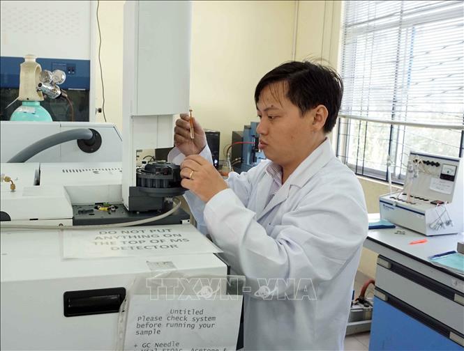 Trong ảnh: Tiến sĩ Đoàn Lê Hoàng Tân làm việc trong phòng thí nghiệm. Ảnh: Thu Hoài - TTXVN