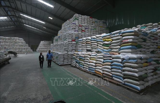 Xuất khẩu gạo của Việt Nam sang Indonesia tăng trưởng mạnh trong 6 tháng đầu năm 2020 với 177,28% đạt 25,89 triệu USD. Trong ảnh: Sản phẩm gạo xuất khẩu được tạm trữ tại kho của công ty Lương thực Sông Hậu (Sông Hậu Food) thành phố Cần Thơ. Ảnh: Vũ Sinh – TTXVN