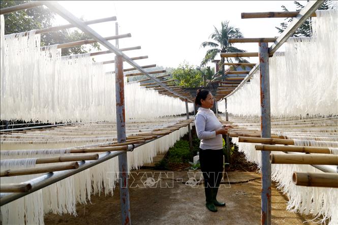Trong ảnh: Mỗi ngày, HTX Mì khô Thuật Yến làm ra gần 1 tấn mì.Ảnh: Nam Sương - TTXVN