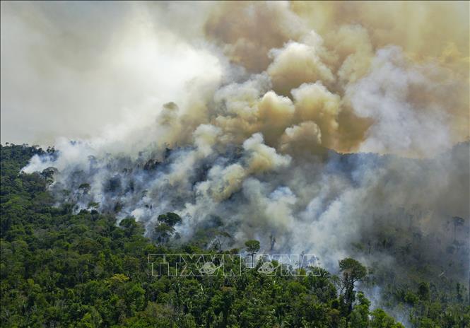 Trong ảnh: Khói lửa bốc lên từ đám cháy tại khu vực rừng Amazon ở bang Para State, Brazil ngày 16/8/2020. Ảnh: AFP/TTXVN