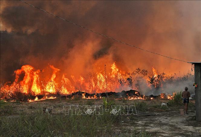 Trong ảnh: Khói lửa bốc lên từ đám cháy tại khu vực rừng Amazon ở bang Para State, Brazil ngày 15/8/2020. Ảnh: AFP/TTXVN