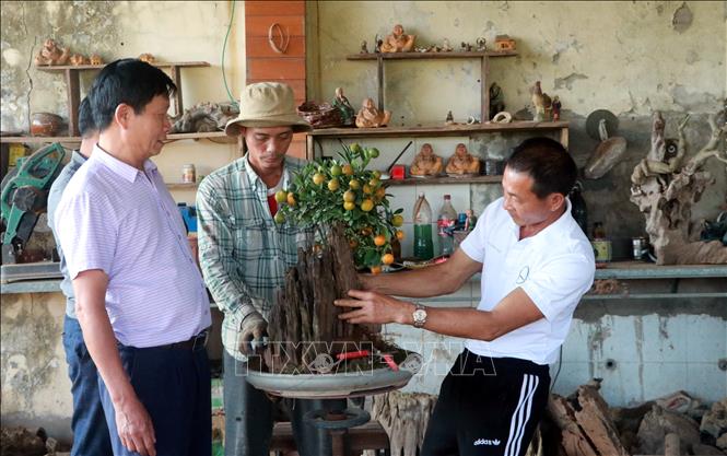 Trong ảnh: Người trồng quất ở xã Nam Toàn, huyện Nam Trực, tỉnh Nam Định tạo dáng, thế cho cây quất. Ảnh: Nguyễn Lành - TTXVN
