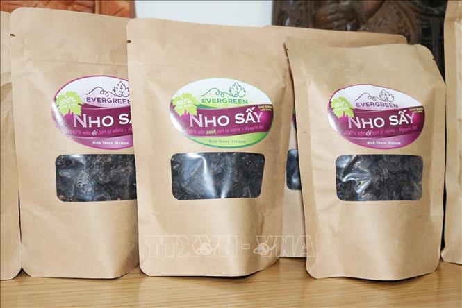Trong ảnh: Đa dạng hóa chế biến sản phẩm đặc thù nho Ninh Thuận. Ảnh: Nguyễn Thành – TTXVN