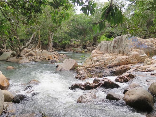 Trong ảnh: Suối Lồ Ổ với dòng nước trong xanh mãi tuôn chảy như tình yêu của vợ chồng chàng ngư phủ Vĩnh Hy. Ảnh: Minh Hưng - TTXVN                               