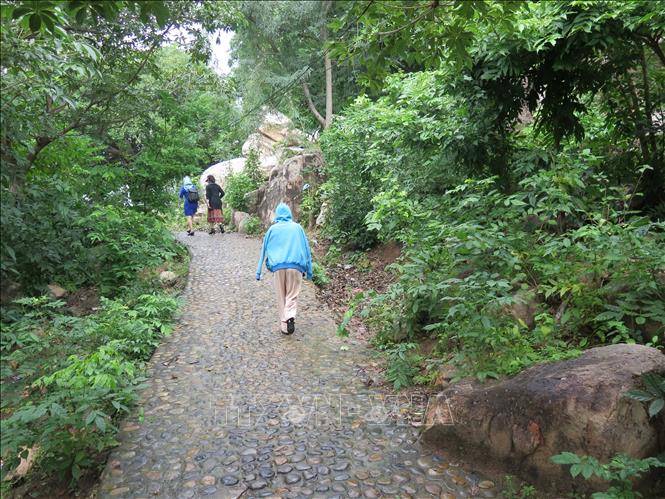 Trong ảnh: Đường sỏi đi qua rừng quốc gia Núi Chúa dẫn đến suối Lồ Ồ. Ảnh: Minh Hưng - TTXVN
