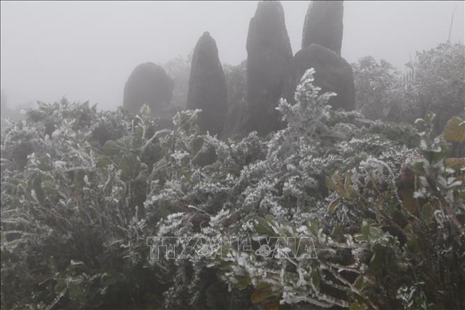 Xuất hiện băng tuyết trên đỉnh Mẫu Sơn - Ảnh thời sự trong ...