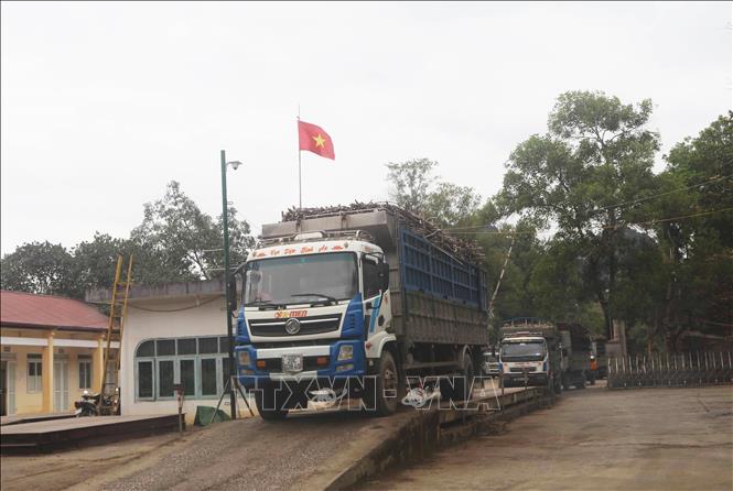 Trong ảnh: Xe tải chở nguyên liệu mía của Công ty Cổ phần Mía đường Cao Bằng đến nhà máy sản xuất. Ảnh: Chu Hiệu - TTXVN