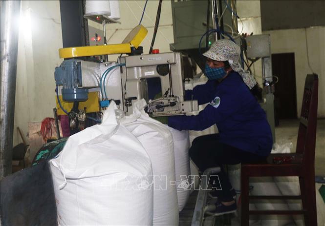 Trong ảnh: Đóng gói sản phẩm tại Nhà máy Mía đường Cao Bằng. Ảnh: Chu Hiệu - TTXVN