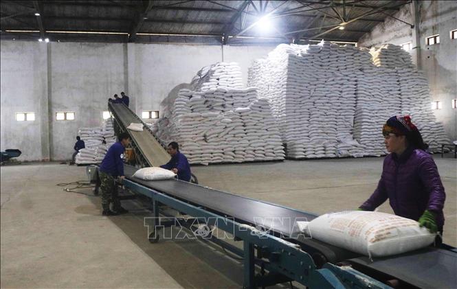 Trong ảnh: Vận chuyển sản phẩm tại Nhà máy Mía đường Cao Bằng. Ảnh: Chu Hiệu - TTXVN