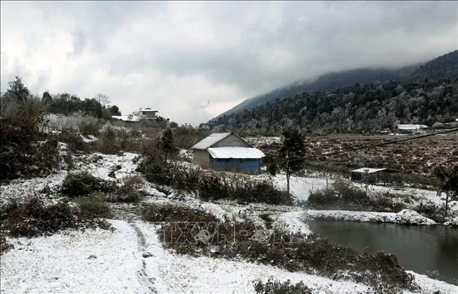 Photo: Y Ty commune is blanketed in snow. VNA Photo: Quốc Khánh