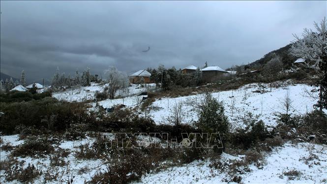 Photo: Y Ty commune covered with snow. VNA Photo: Quốc Khánh