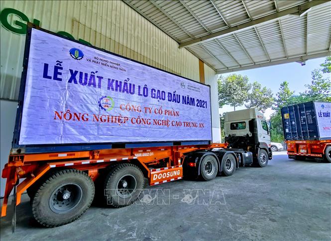 Photo: Lorries carying rice leave for port to be shipped to Singapore and Malaysia. VNA Photo: Thanh Liêm