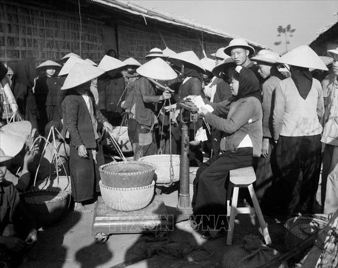 Trong ảnh: Nông dân vùng Ninh Giang, tỉnh Hải Dương mang thóc đến bán cho Chính phủ (tháng 11/1958). Ảnh: Đức Như – TTXVN