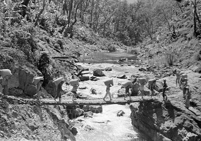 Ngày 19/5/1959, Thường trực Tổng Quân uỷ quyết định thành lập Đoàn 559, chính thức giao nhiệm vụ mở đường chi viện vào chiến trường miền Nam. Quyết định xây dựng tuyến đường Trường Sơn chiến lược và thực hiện thắng lợi quyết định ấy khẳng định sự nhạy bén trong tư duy và tài thao lược trong chỉ đạo chiến tranh của Đảng ta trong cuộc kháng chiến chống Mỹ, cứu nước. Trong ảnh: Chuyển hàng ra tiền tuyến qua 