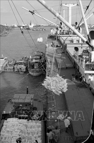 Nghị quyết số 10 của Đảng (4/1988) về Đổi mới quản lý kinh tế nông nghiệp (gọi tắt là Khoán 10) lập tức giải phóng sức sản xuất. Ngay năm đó, cả nước không phải nhập khẩu lương thực, và từ năm 1989, gạo Việt Nam bắt đầu xuất khẩu, góp mặt vào thị trường toàn cầu. Ngành nông nghiệp đã giải quyết vững chắc vấn đề lương thực, đảm bảo an ninh lương thực quốc gia, đưa Việt Nam từ nước thiếu lương thực trở thành nước xuất khẩu gạo hàng đầu thế giới. Trong ảnh: Bốc xếp gạo xuất khẩu tại cảng Sài Gòn. Ảnh: TTXVN