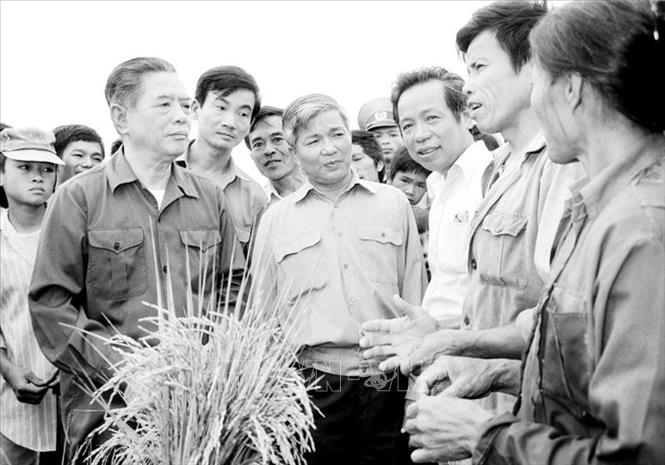 Trong ảnh: Tổng Bí thư Nguyễn Văn Linh đến thăm nông dân HTX Tùng Phong, xã Tùng Ảnh, huyện Đức Thọ, tỉnh Nghệ Tĩnh (từ 23 đến 27/5/1990). Ảnh: TTXVN
