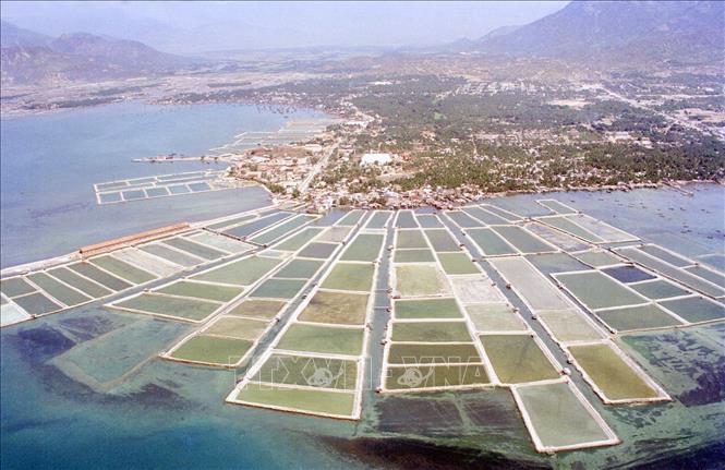 Trong ảnh: Phát triển nuôi tôm ở Nha Trang, Khánh Hoà (1996). Ảnh: Cao Phong - TTXVN