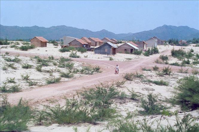 Trong ảnh: Xã kinh tế mới Nhơn Hội, thành phố Quy Nhơn, tỉnh Bình Định (năm 1997). Ảnh: Đình Na - TTXVN