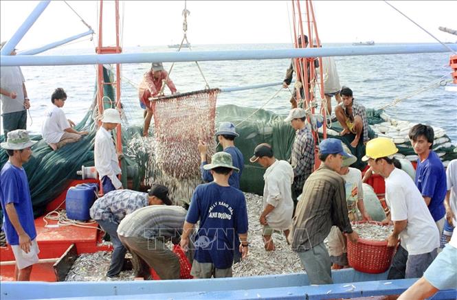 Trong ảnh: Đánh bắt cá xa bờ tại ngư trường huyện đảo Phú Quốc (Kiên Giang), năm 2000. Ảnh: Xuân Trường - TTXVN