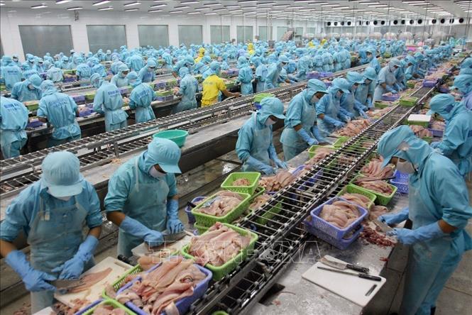 Trong ảnh: Thủy sản tiếp tục là một trong các mặt hàng xuất khẩu tăng trưởng mạnh nhất của Việt Nam trong những năm nhiệm kỳ X. Ảnh: Huy Hùng - TTXVN