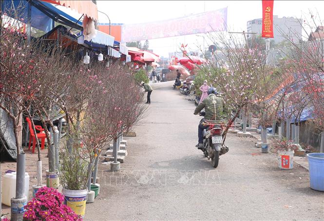 Trong ảnh: Chợ hoa Quảng Bá đỏ rực màu hoa đào đón Tết Tân Sửu 2021. Ảnh: Hoàng Hiếu - TTXVN