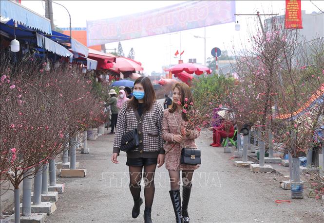 Trong ảnh: Nhiều người dân Hà Nội vẫn duy trì thói quen ra tận chợ hoa Quảng Bá lựa từng cành, từng cây đào về chơi Tết. Ảnh: Hoàng Hiếu - TTXVN