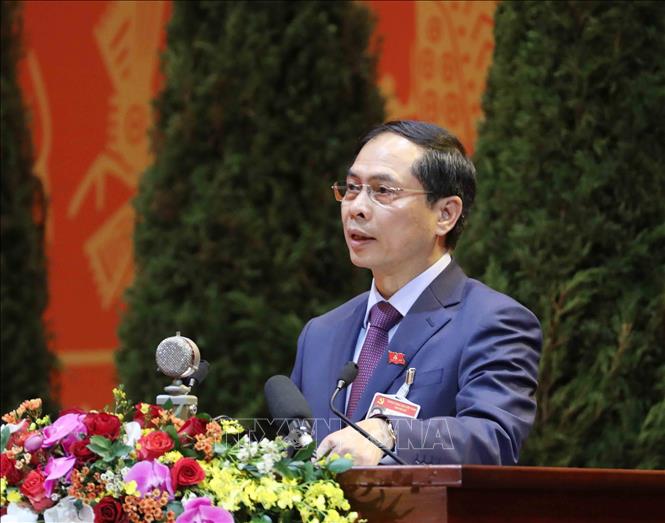 Photo: First Deputy Foreign Minister Bui Thanh Son, Party Central Committee member, presents a discourse. VNA Photo