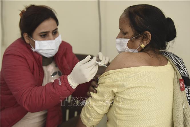 Covid 19 Vaccine Cá»§a áº¥n Ä'á»™ Co Thá»ƒ NgÄƒn Ngá»«a Hiá»‡u Quáº£ Biáº¿n Thá»ƒ Má»›i á»Ÿ Anh áº£nh Thá»i Sá»± Quá»'c Táº¿ VÄƒn Hoa Xa Há»™i Thong Táº¥n Xa Viá»‡t Nam Ttxvn