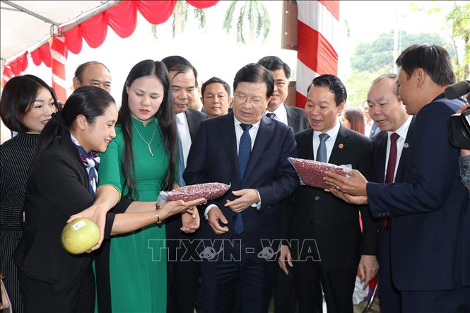 Trong ảnh: Phó Thủ tướng Trịnh Đình Dũng (giữa) và các đại biểu nghe giới thiệu về sản phẩm lạc ri vỏ đỏ Thái Sơn. Ảnh: Việt Dũng - TTXVN 