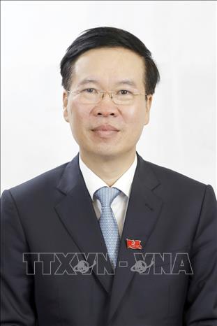 Photo: Vo Van Thuong, head of the Party Central Committee’s Commission for Popularisation and Education. VNA Photo