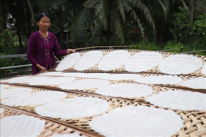 Trong ảnh: Sản xuất bánh tráng tại làng nghề bánh tráng Mỹ Lồng. Ảnh: Huỳnh Phúc Hậu - TTXVN