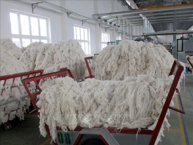 Trong ảnh: Sợi vải làm từ nguyen liệu cây Gai xanh. Ảnh: Nguyễn Nam-TTXVN