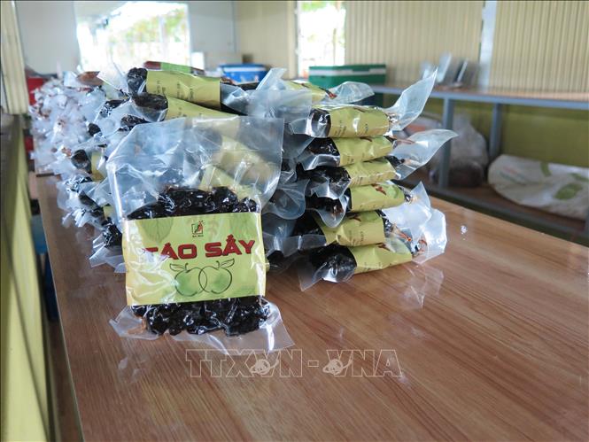 Trong ảnh: Sản phẩm táo sấy - đặc sản Ninh Thuận chế biến từ táo tươi được trồng được giới thiệu và bày bán tại Trang trại Nho Ba Mọi. Ảnh: Minh Hưng - TTXVN                                                             