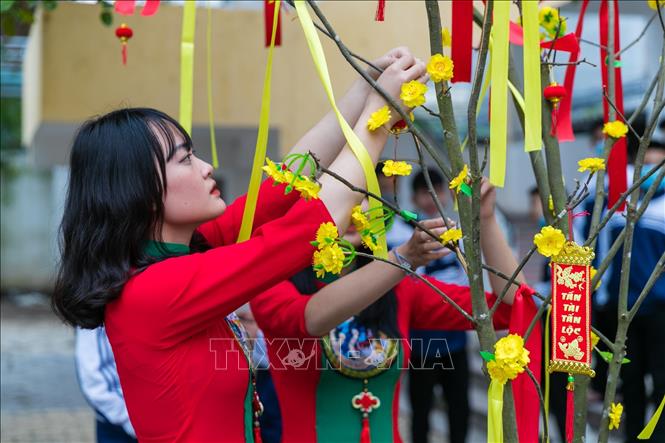 Trong ảnh: Mõi dịp Tết đến không thể thiếu sắc xuân của cành Mai. Ảnh: Bích Huệ - TTXVN