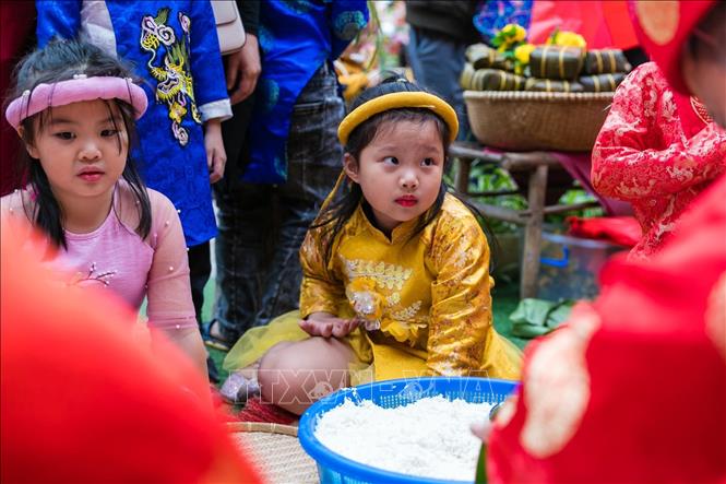 Trong ảnh: Các em nhỏ trường Mầm non Hoa Sen, thành phố Vinh rất háo hức, chăm chú, say sưa nhìn người lớn gói bánh chưng xanh trong ngày hội 