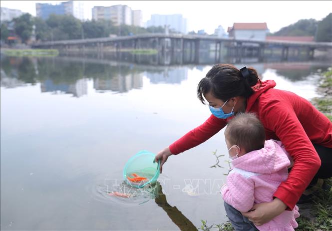 Trong ảnh: Người dân thả cá chép sau khi làm lễ. Ảnh: Hoàng Hiếu. - TTXVN 