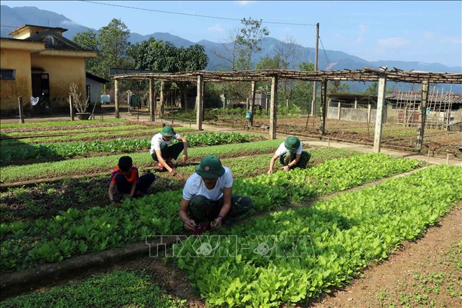 Trong ảnh: Em Lê Văn Thìn tham gia tăng gia sản xuất tại vườn rau ở Đồn Biên phòng Cửa khẩu A Đớt. Ảnh: Đỗ Trưởng – TTXVN